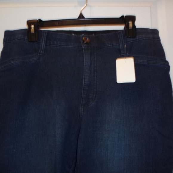 NWT-Wynne Denim Blue Zipper Jeans with Front and Back Pockets. Size 16 Tall. - Picture 3 of 5